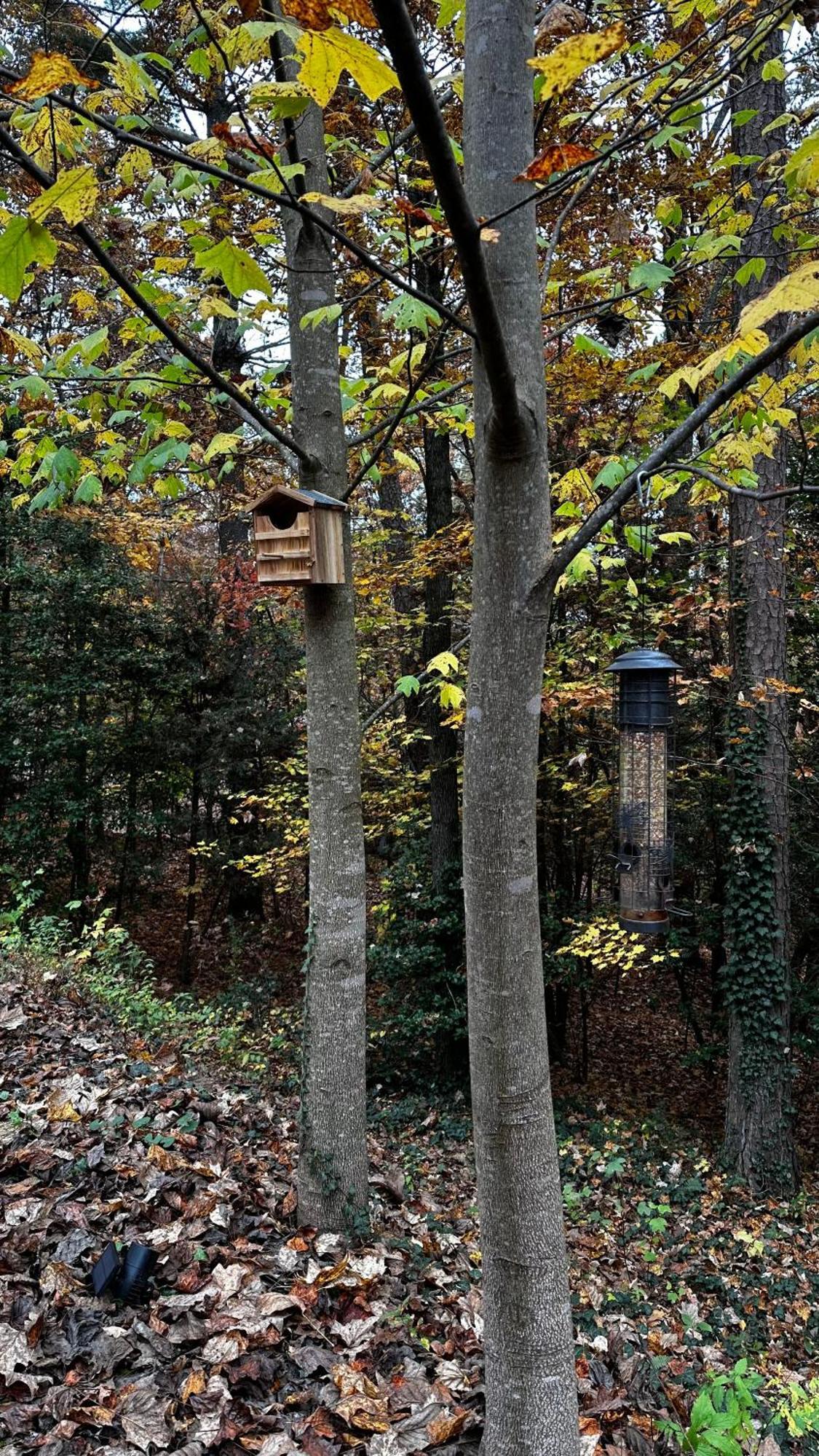Appalachian Mountain Cabin-Updated-Private-Rafting On Ocoee River-Hiking-Waterfalls-Wifi-Pets Ok 墨菲 外观 照片