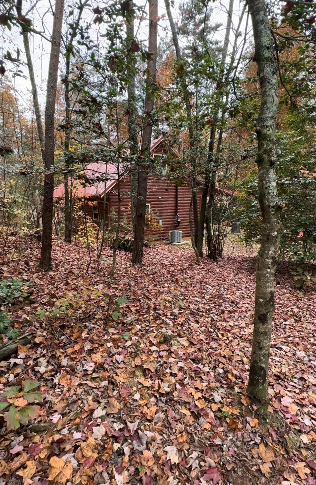 Appalachian Mountain Cabin-Updated-Private-Rafting On Ocoee River-Hiking-Waterfalls-Wifi-Pets Ok 墨菲 外观 照片
