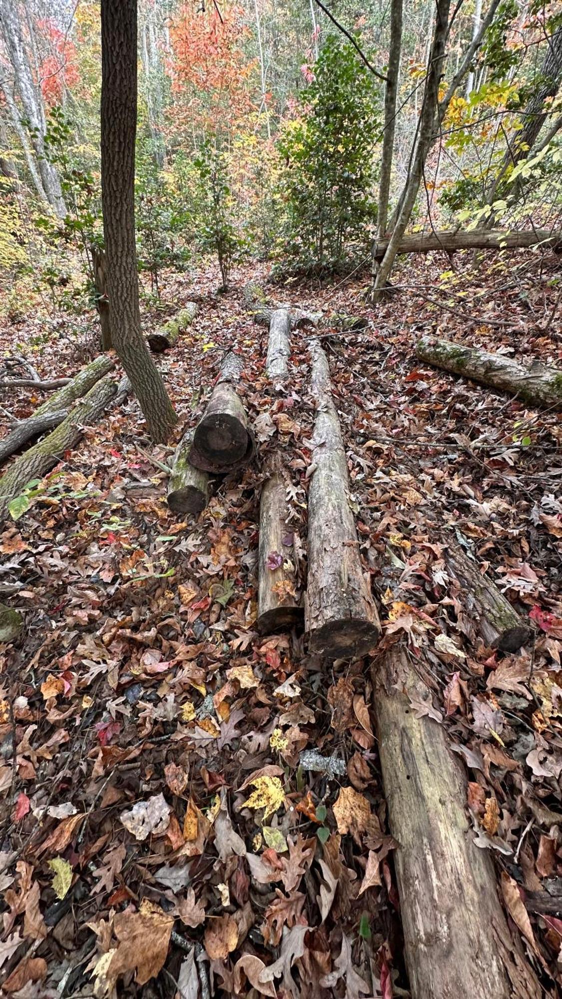 Appalachian Mountain Cabin-Updated-Private-Rafting On Ocoee River-Hiking-Waterfalls-Wifi-Pets Ok 墨菲 外观 照片