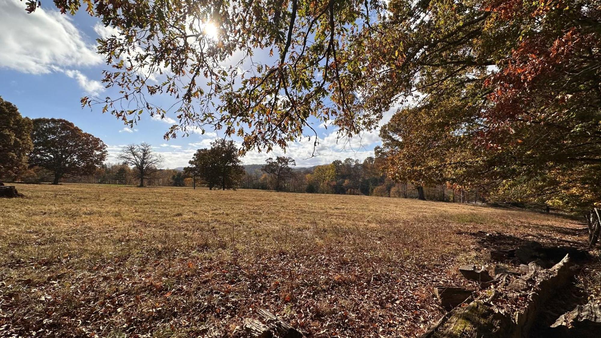 Appalachian Mountain Cabin-Updated-Private-Rafting On Ocoee River-Hiking-Waterfalls-Wifi-Pets Ok 墨菲 外观 照片